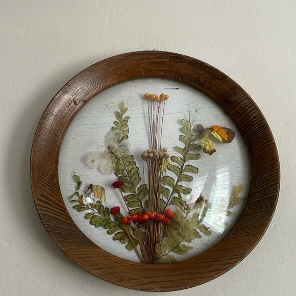 •| dried floral art - Picture 3 of 15